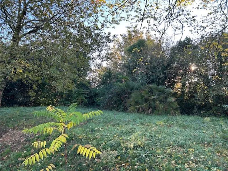 Terrain à bâtir à Galgon