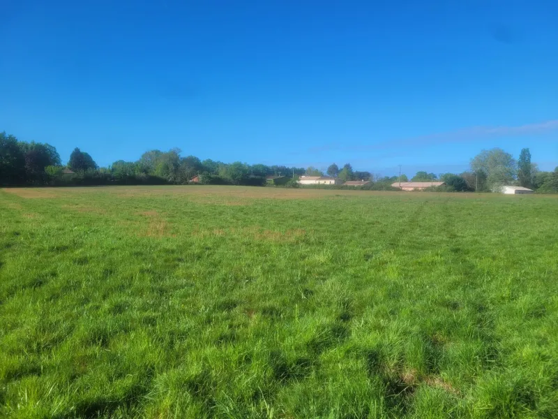 Terrain à bâtir à Lignan-de-Bordeaux