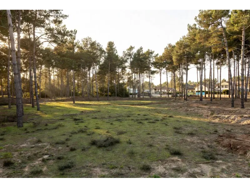 Terrain à bâtir à Léognan