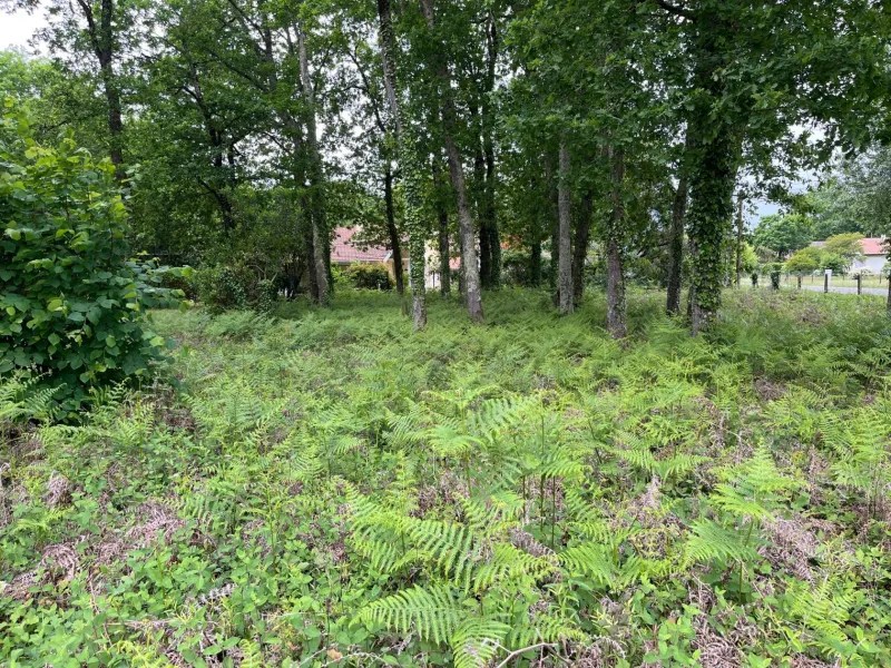 Terrain à bâtir à Andernos-les-Bains
