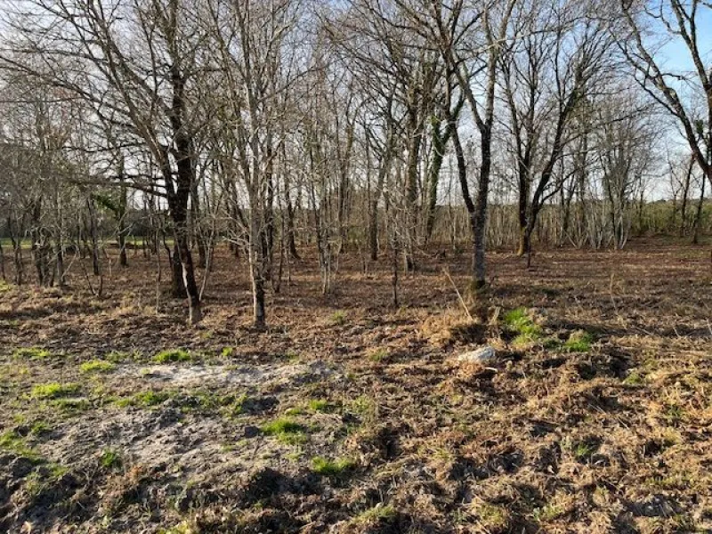 Terrain à bâtir à Audenge