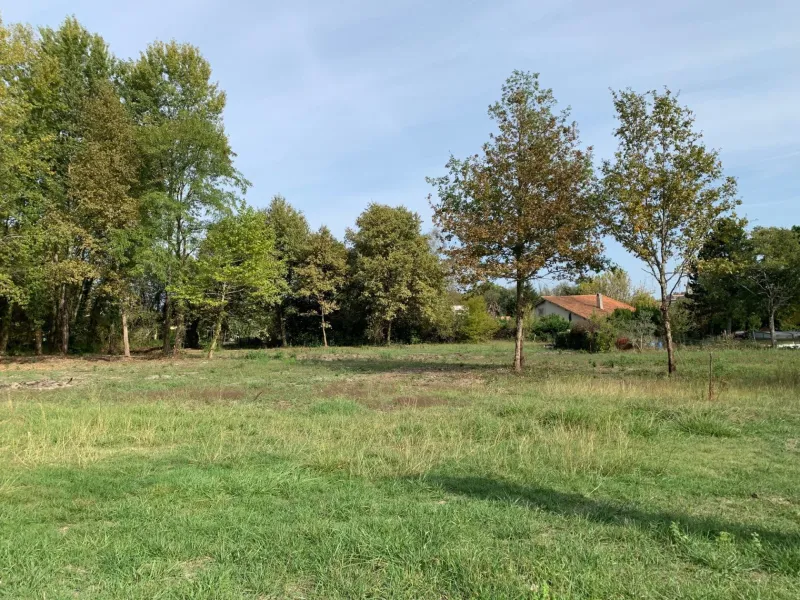 Terrain à bâtir à Cestas