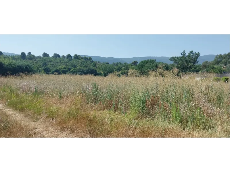 Terrain à bâtir à Cereste