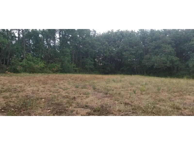 Terrain à bâtir à Mallemoisson