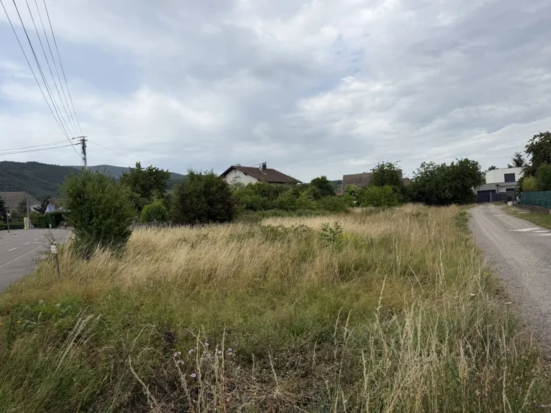 Terrain à bâtir à Vieux-Thann