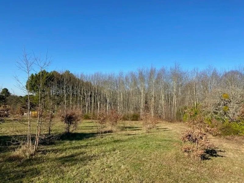 Terrain à bâtir à Chalagnac