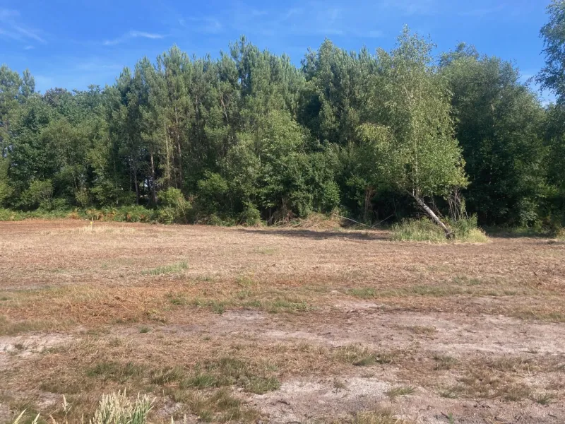 Terrain à bâtir à Biscarrosse