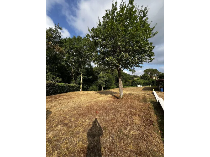 Terrain à bâtir à Léognan
