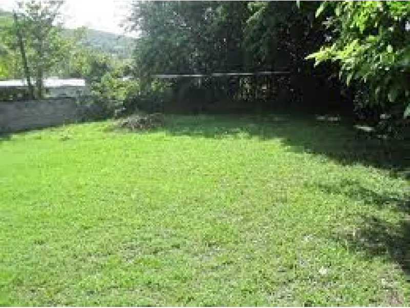 Terrain à bâtir à Baulne