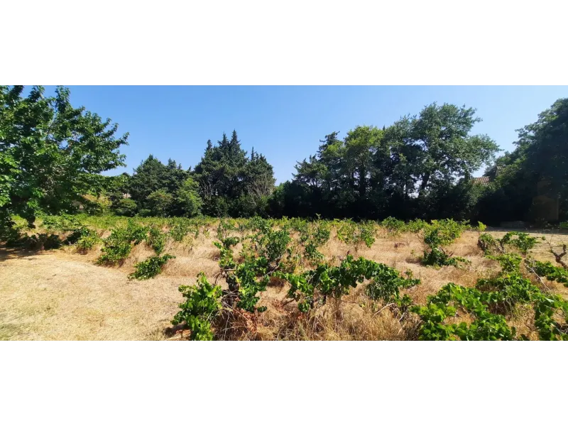 Terrain à bâtir à Sainte-Cécile-les-Vignes