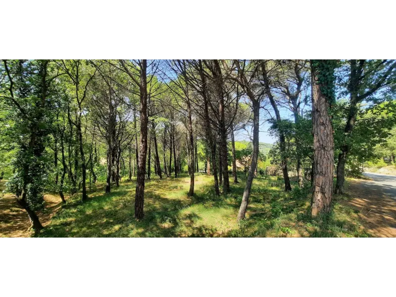 Terrain à bâtir à Rochegude