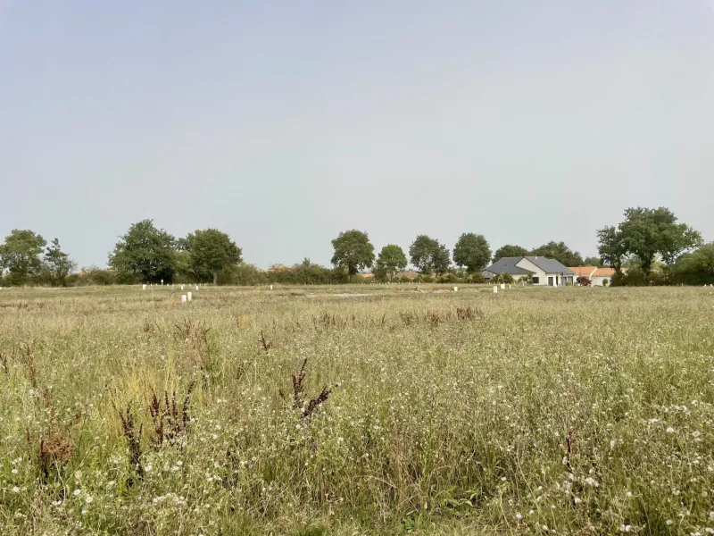 Terrain à bâtir à Longué-Jumelles