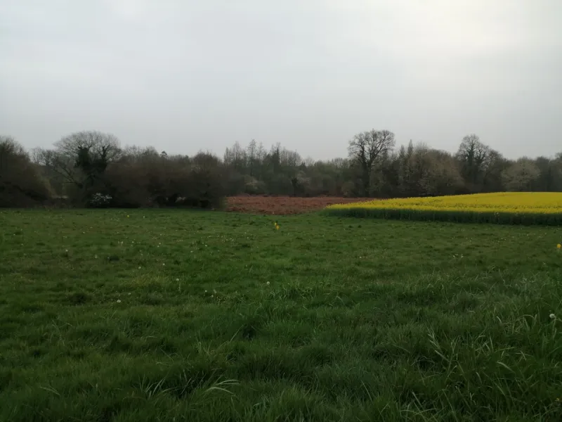 Terrain à bâtir à Saint-Guyomard