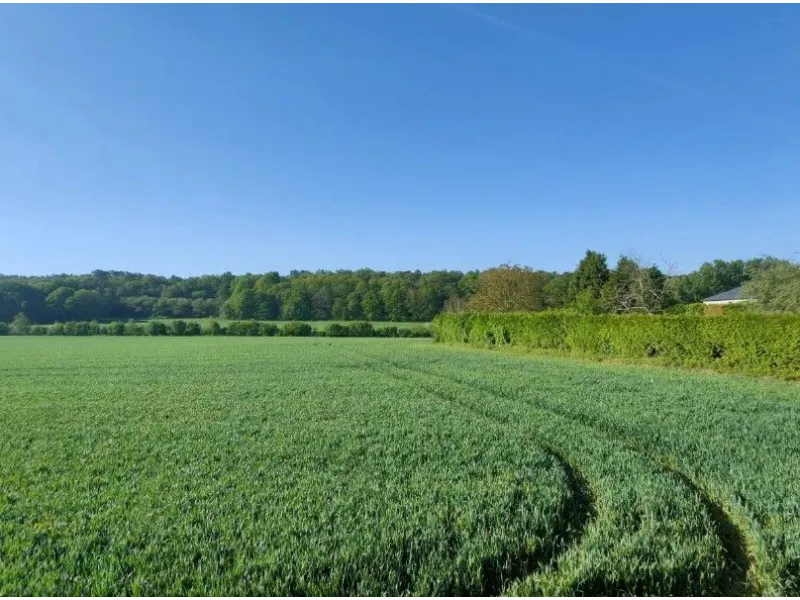 Terrain à bâtir à Saint-Guyomard