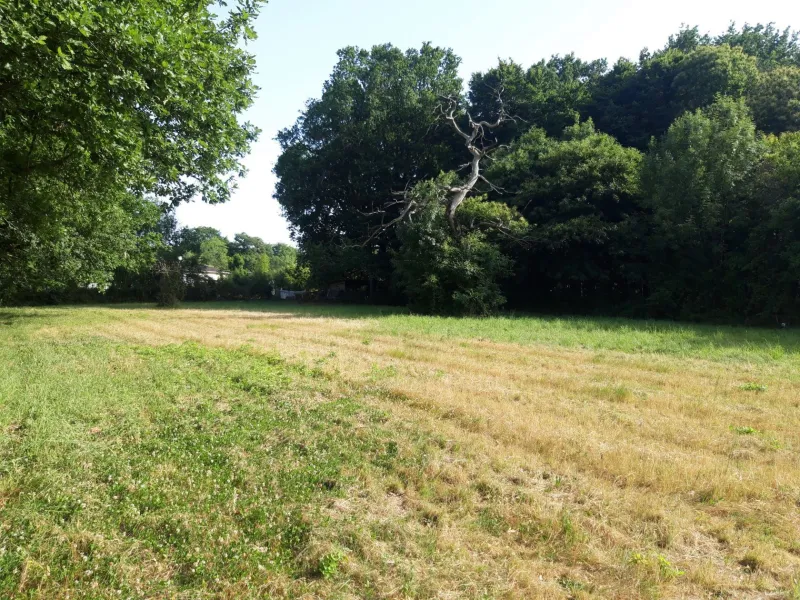 Terrain à bâtir à Saint-Georges-des-Coteaux