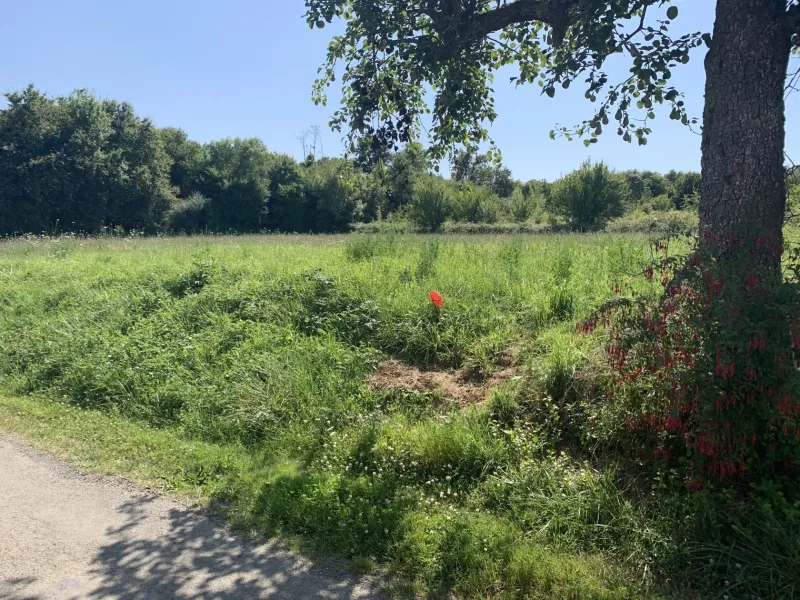 Terrain à bâtir à Écoyeux