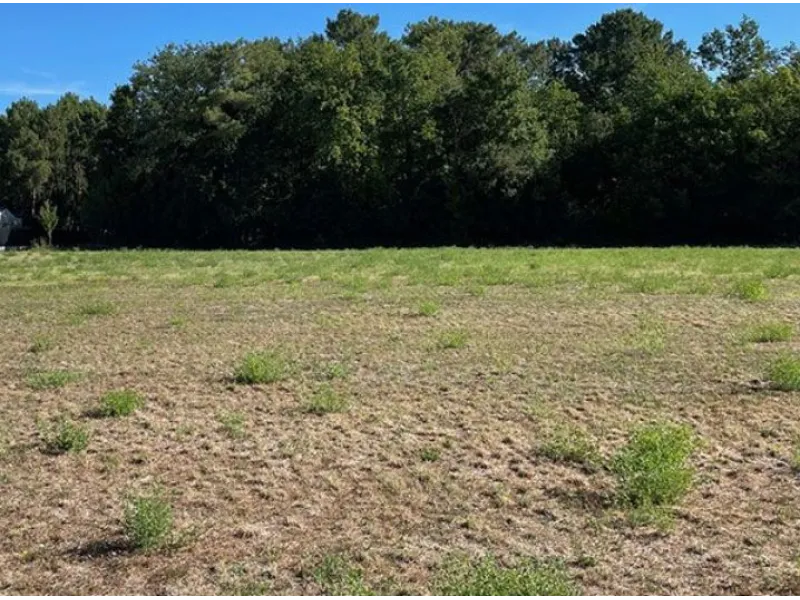 Terrain à bâtir à Mathes