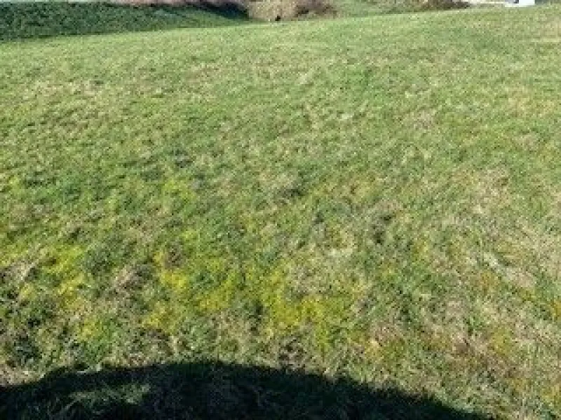 Terrain à bâtir à Guidel