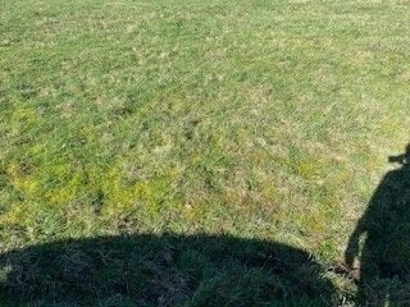 Terrain à bâtir à La Trinité-Surzur