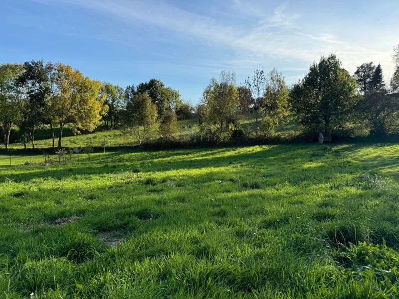 Terrain à bâtir à Moyrazès