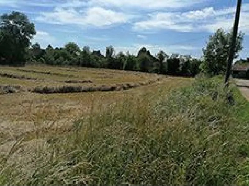 Terrain à bâtir à Martiel