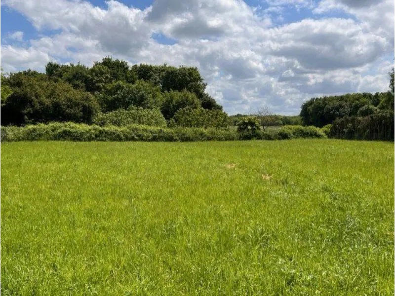 Terrain à bâtir à La Grève-sur-Mignon