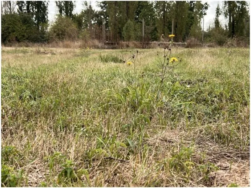 Terrain à bâtir à Agris