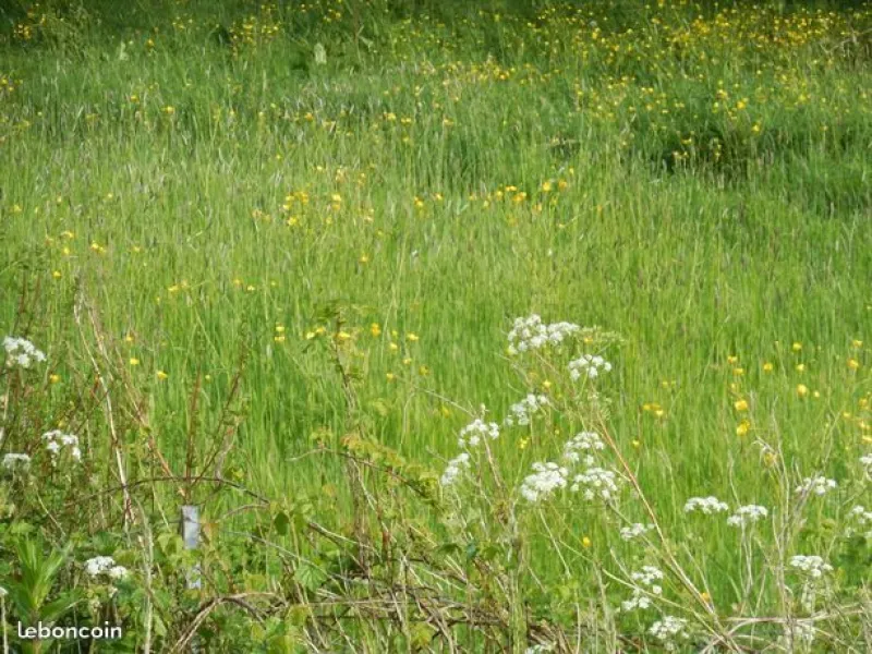 Terrain à bâtir à Vertou