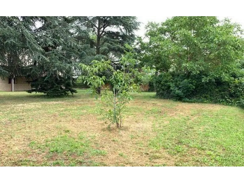 Terrain à bâtir à Villemoisson-sur-Orge