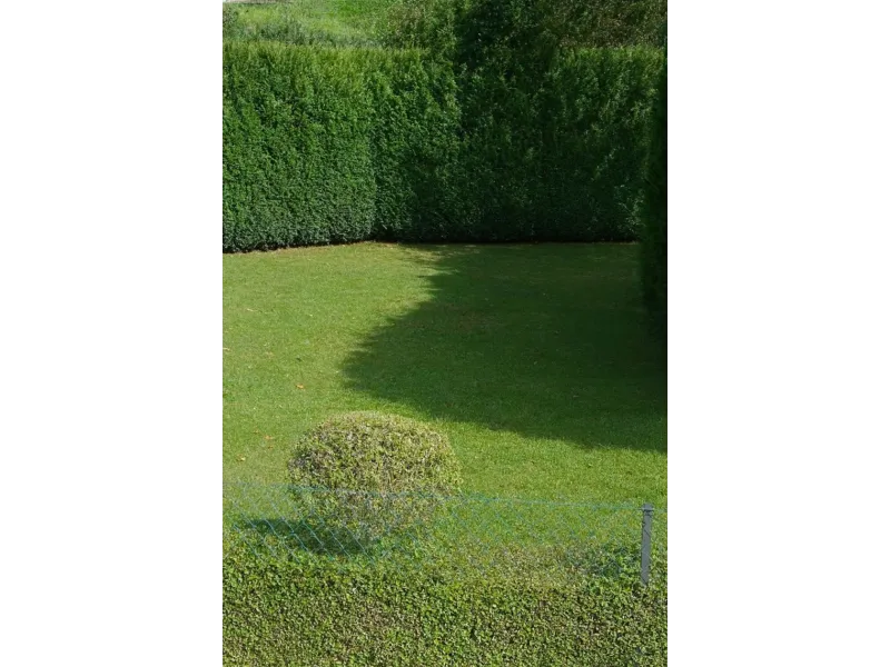 Terrain à bâtir à Bonnelles