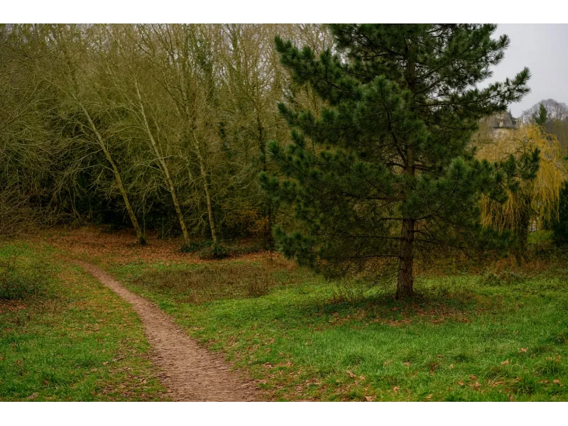 Terrain à bâtir à Flins-Neuve-Église