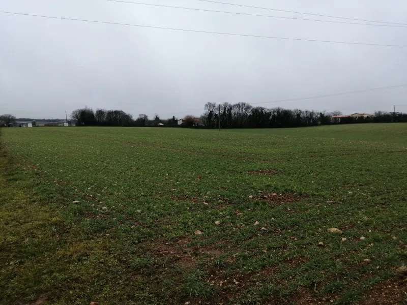 Terrain à bâtir à Échiré