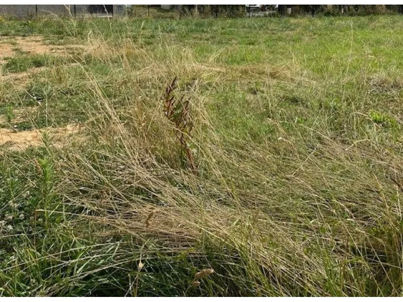 Terrain à bâtir à Marsais-Sainte-Radégonde