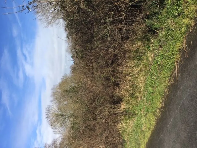 Terrain à bâtir à Saint-Valérien