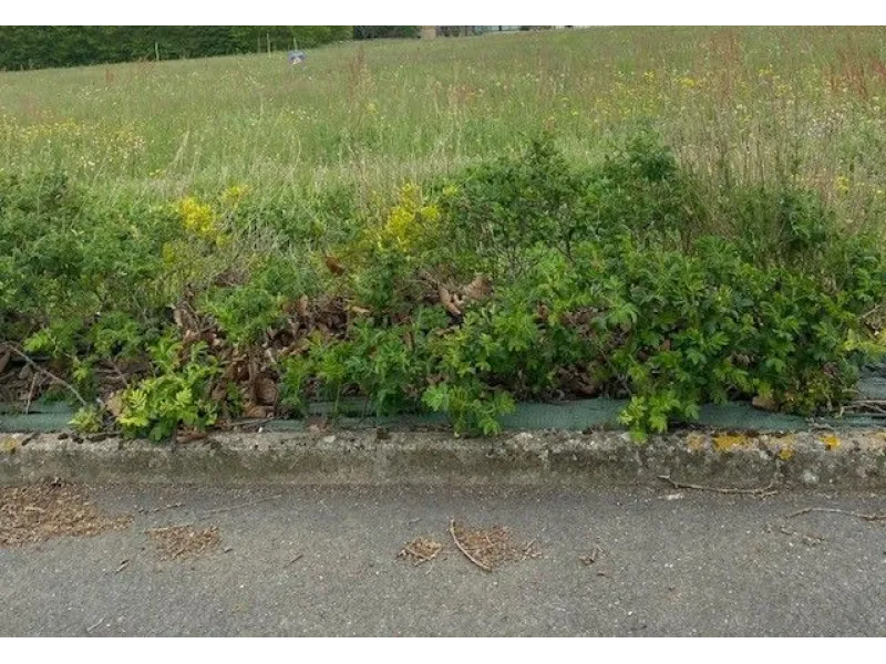 Terrain à bâtir à Petosse