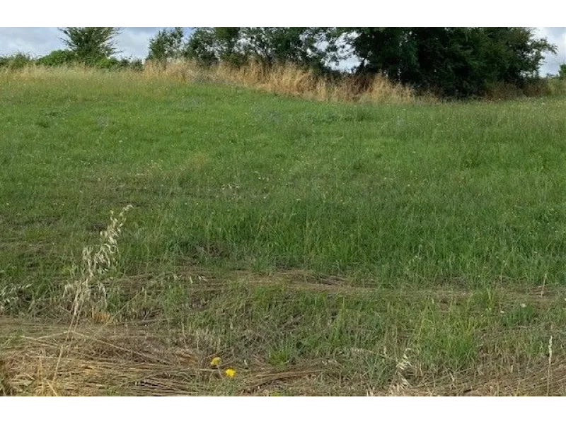 Terrain à bâtir à Petosse