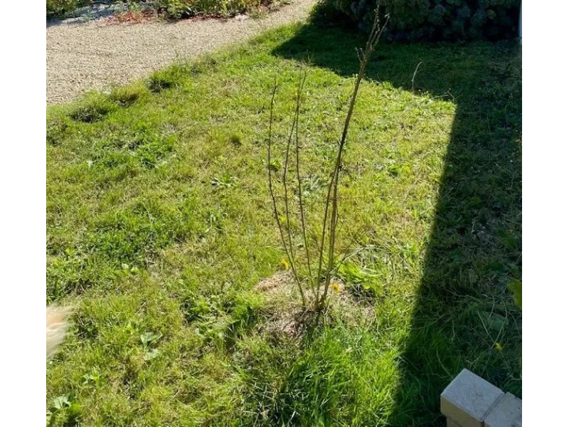 Terrain à bâtir à Petosse