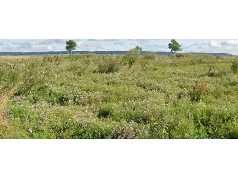Terrain à bâtir à Condé-sur-Marne