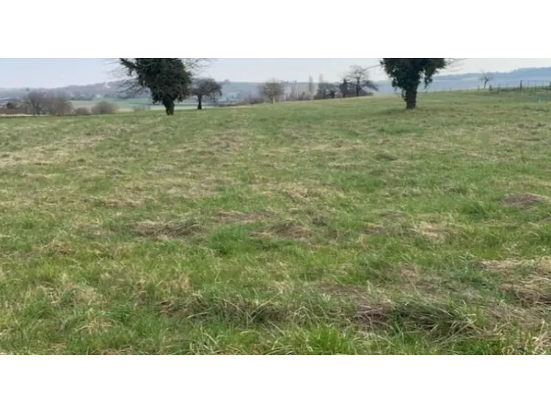 Terrain à bâtir à Dormans