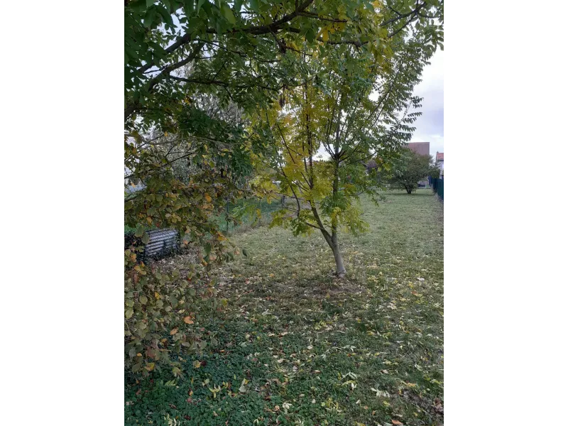 Terrain à bâtir à Witry-lès-Reims