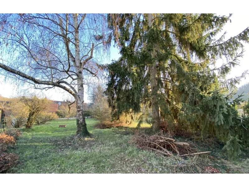 Terrain à bâtir à Cuise-la-Motte