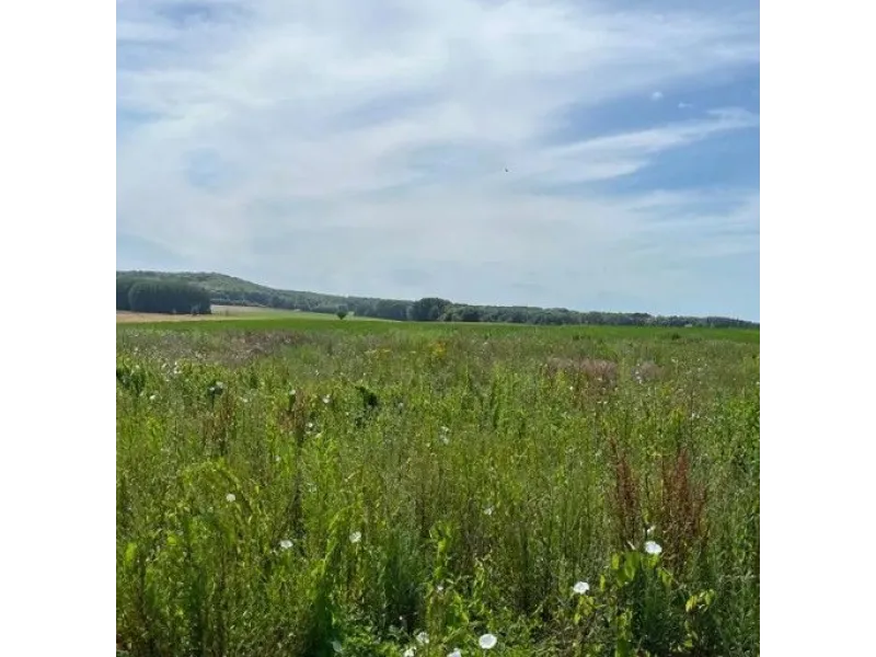 Terrain à bâtir à Noyon