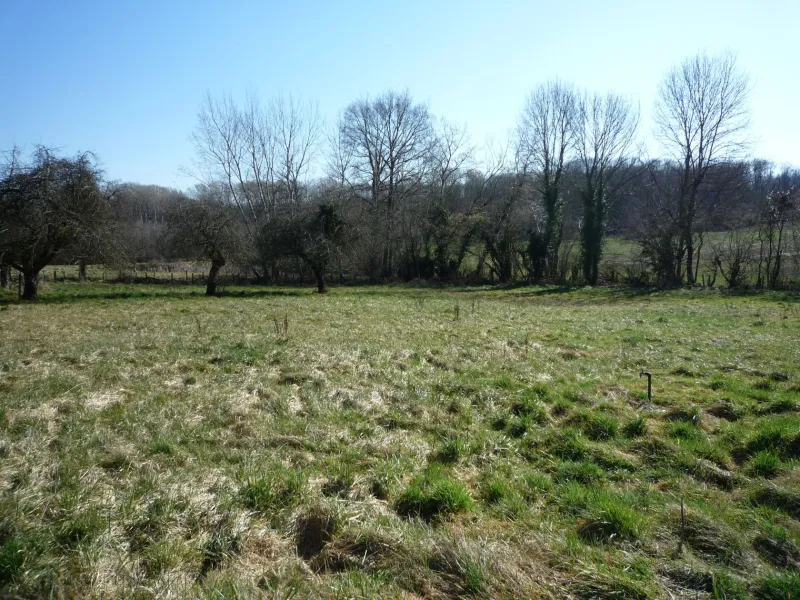 Terrain à bâtir à Essomes-sur-Marne