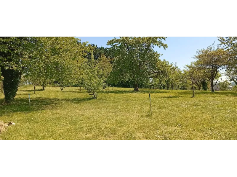 Terrain à bâtir à Bucy-le-Long