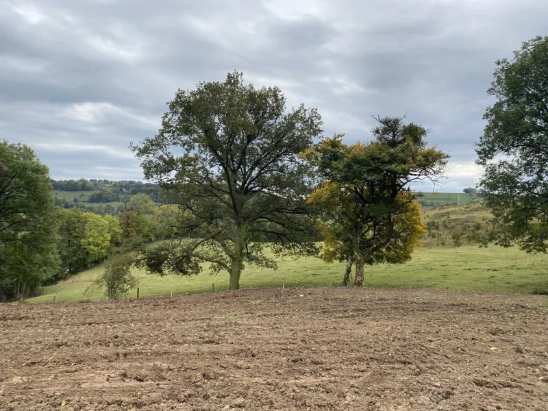 Terrain à bâtir à Aurillac
