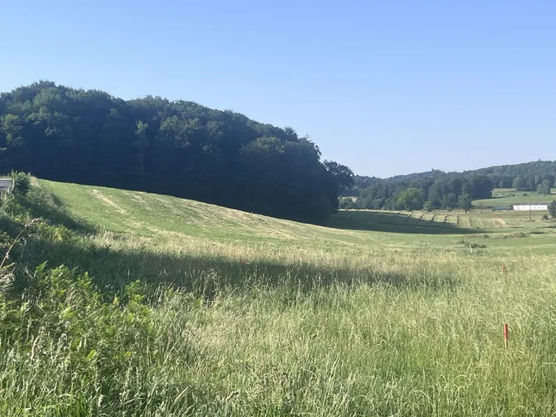 Terrain à bâtir à Lafeuillade-en-Vézie