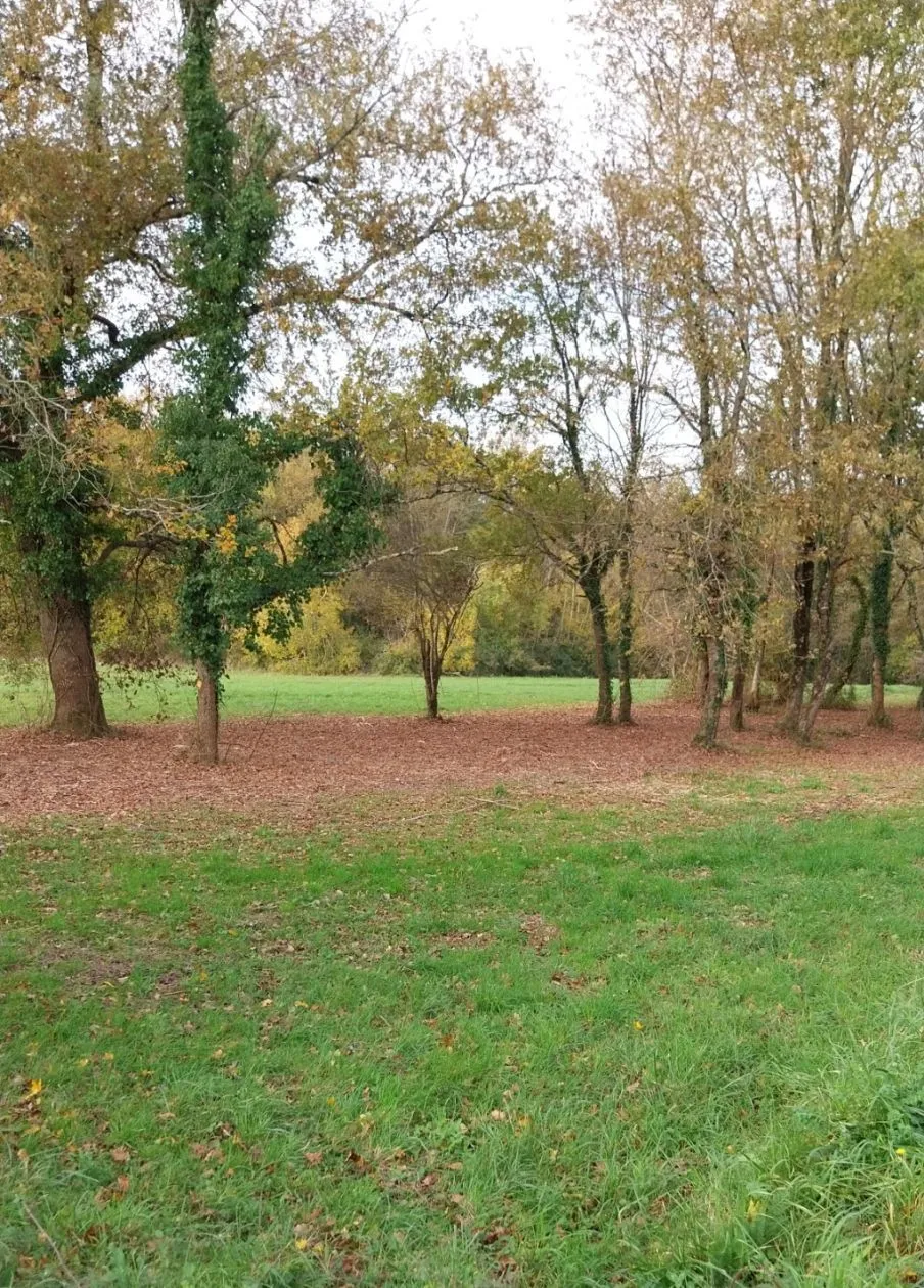 Maison neuve 85 m² à La Chapelle-des-Pots (17100)