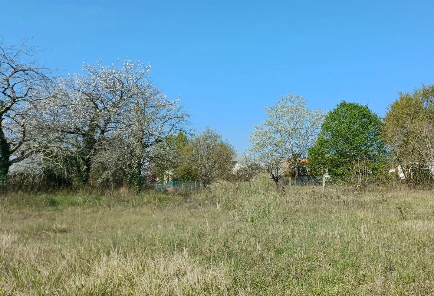 Terrain à bâtir 441 m² à Saintes (17100)