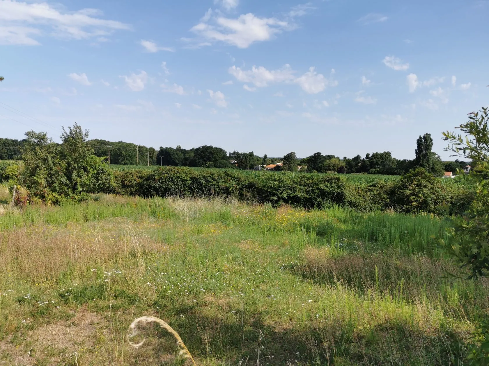 Terrain à bâtir 362 m² à Ballon (17290)