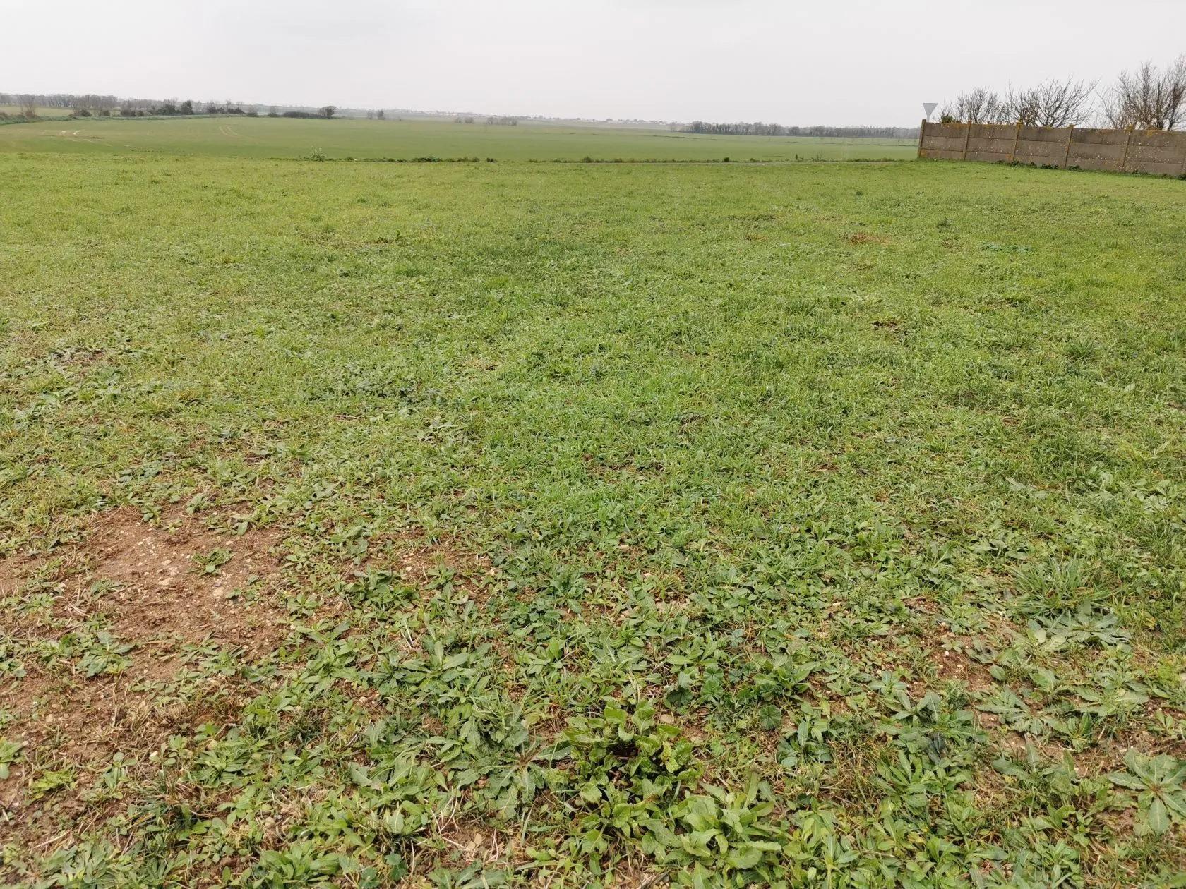 Maison neuve 84 m² à Angliers (17540)